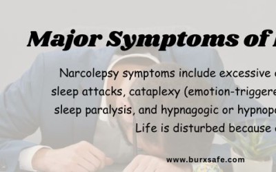 What are the 5 Major Symptoms of Narcolepsy