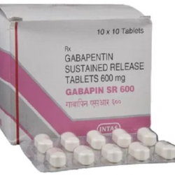 Gabapin 600 Mg SR Gabapin 600 Mg SR